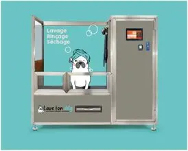Lave ton dog 